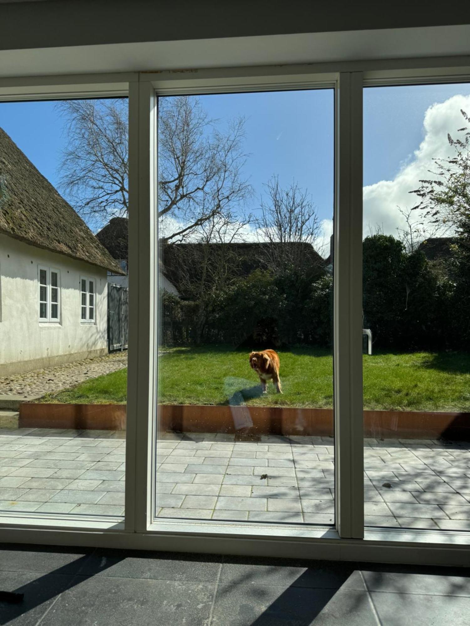 Kapitaenshaus Von 1712 - Neu Saniert Apartman Nieblum Kültér fotó